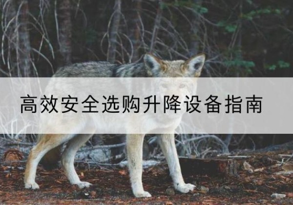 汉川升降货梯厂家推荐-*安全选购升降设备指南