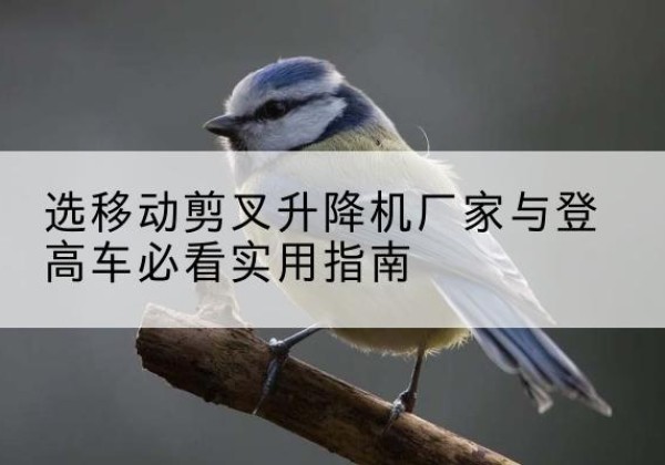 汉川电动升降机厂家-选移动剪叉升降机厂家与登高车必看实用指南