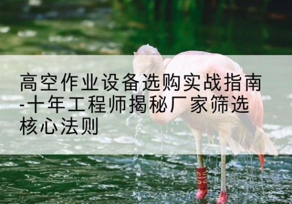 汉川剪叉式升降机厂家-高空作业设备选购实战指南-十年工程师揭秘厂家筛选核心法则